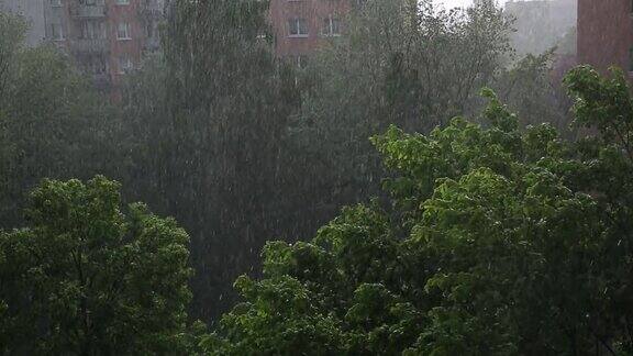 夏季的强降雨伴随着阵风和大气规则将宣布温和的冷却和给予植物和动物生命的水