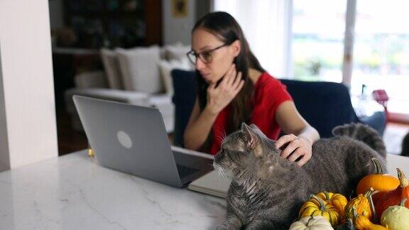 在流感大流行的日子里在家工作的妇女和她的猫