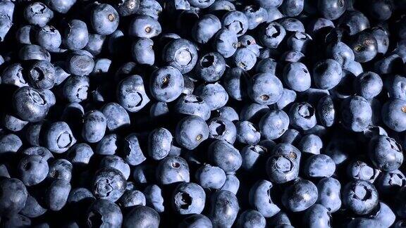 慢镜头蓝莓大群