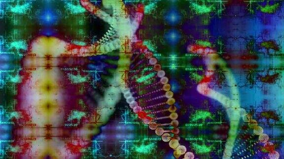 抽象的DNA