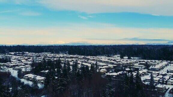 大雪过后的西雅图郊区