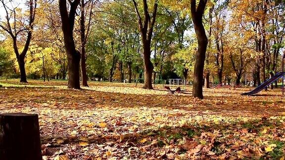 秋天在五颜六色的公园里