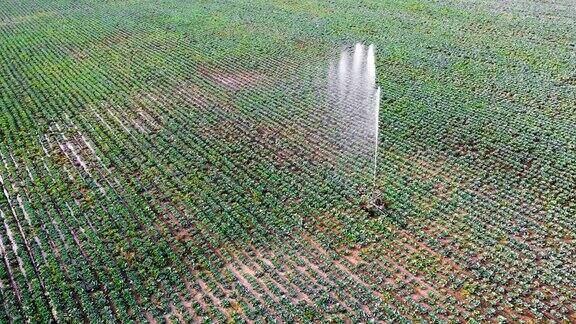 天线灌溉农业领域