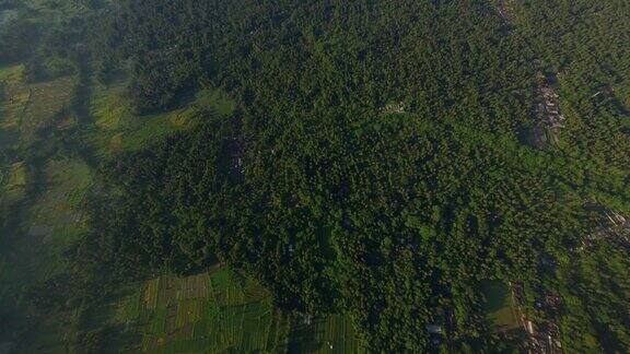 鸟瞰图fpv无人机从火山俯冲到淹没在森林中的热带村庄