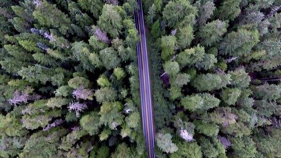 从上到下移动鸟瞰图的道路通过森林与一辆汽车驾驶