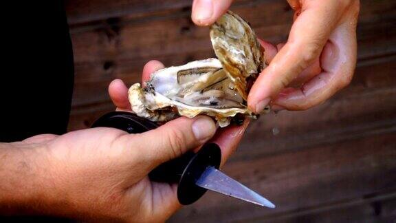 男性的手用新鲜的牡蛎去壳