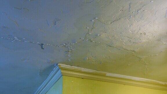 天花板漏水有水损坏