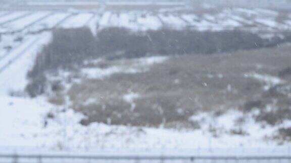 窗外是冬天雪花在模糊的背景上冬天寒冷的天气