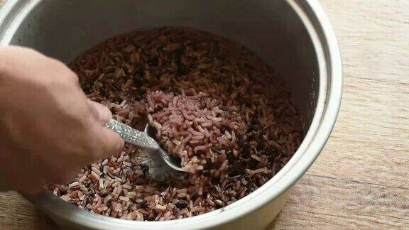 发芽的紫褐色大米在电饭锅中用勺子舀
