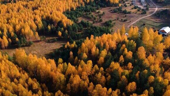 鸟瞰图:飞过秋日松树、桦树和青杉的森林自然旅行recreation.Russia-Europe森林的顶视图