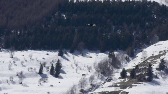 白雪皑皑的深山顶上蓝天上有一群黑乌鸦在飞翔