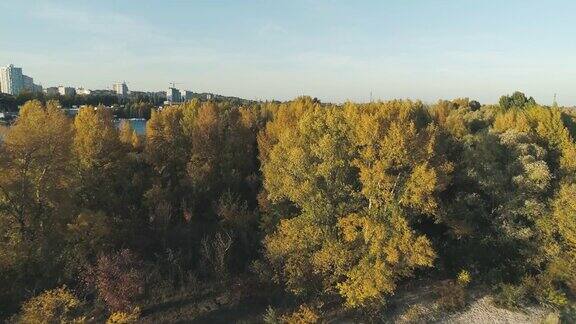 空中无人机视频在秋季飞过岛屿可以看到城市和河流