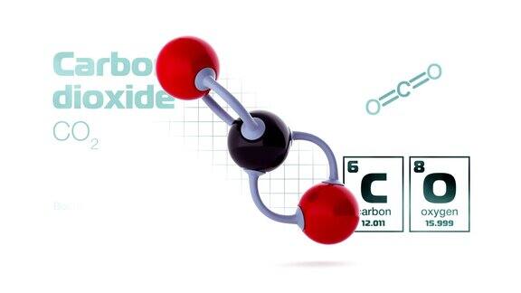 二氧化碳分子