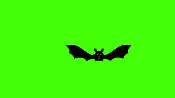 蝙蝠鸟飞图形来源色度键万圣节元素