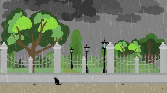 在城市公园里一只孤独的黑猫被雨淋湿了