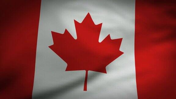 加拿大国旗视频完美循环