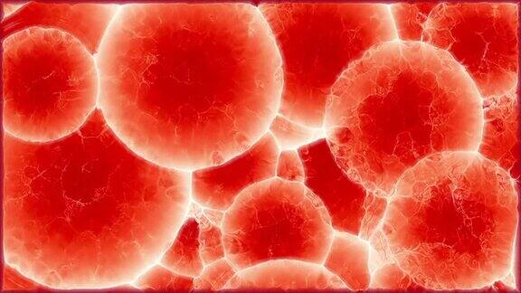 增加红细胞