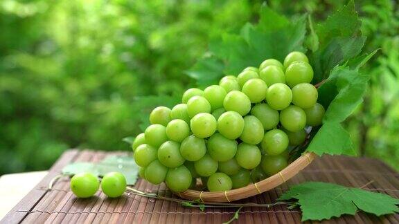 闪亮的麝香葡萄与树叶在模糊的背景绿色的葡萄木盘在木制的桌子在葡萄园花园