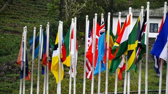 许多各种各样鲜艳的世界各国国旗迎风飘扬在旗杆上特写慢动作