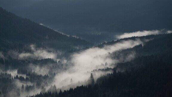 黑森林中低云和雾的时间流逝