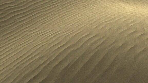 沙漠的沙丘