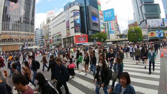 东京过马路的人群