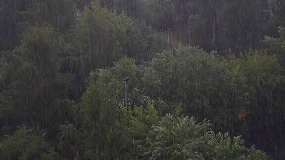 在夏季大雨期间俯瞰城市公园