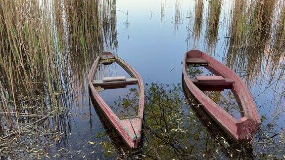 湖岸上的旧船在清澈平静的水中树木和芦苇的风景反射