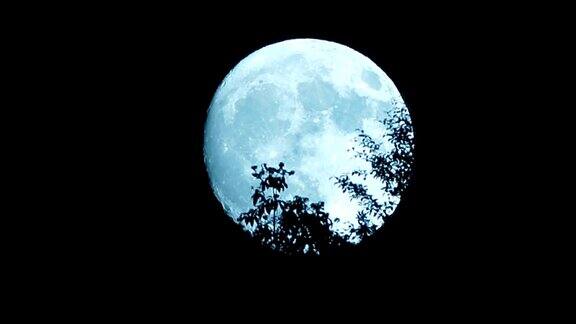 月亮在夜晚移动