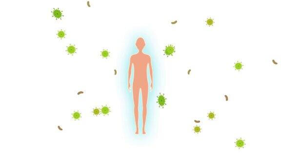 免疫系统保护身体抵抗病毒和细菌2D动画