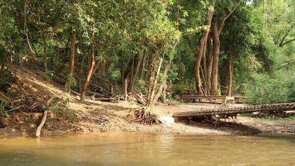 天然森林中的一条清澈溪流