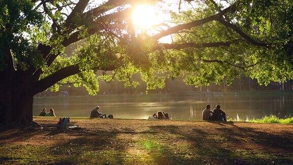 人们在ibirapuera公园享受阳光灿烂的一天