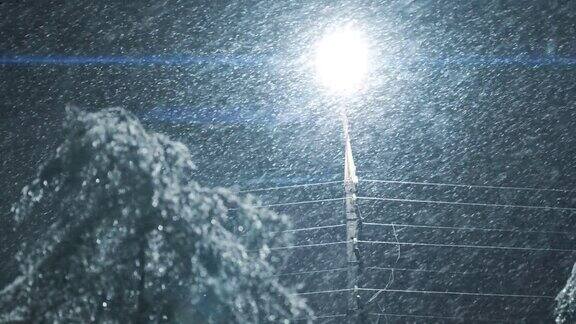 路灯在冬天的夜晚大雪期间的背景树