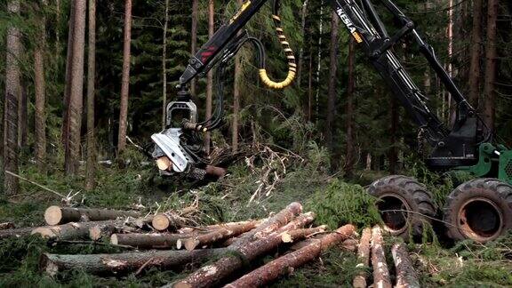 森林采伐设备用于采伐森林中的松材木材