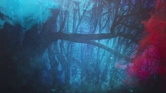 神奇的森林精灵灯光背景