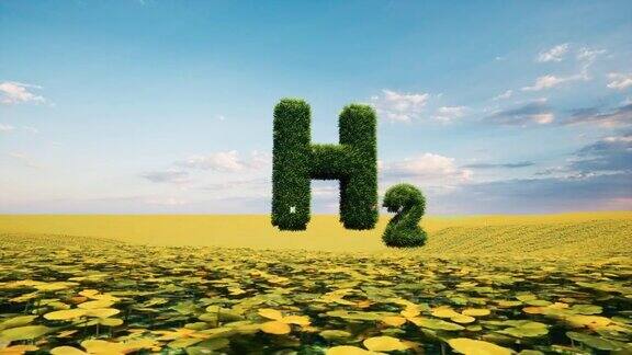 氢气可持续能源生态系统绿草零排放概念4k