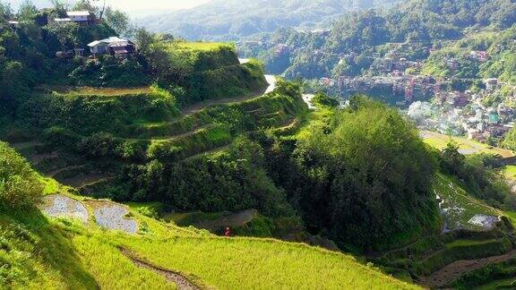布法罗附近的梯田在山上与小村庄美丽的农业在一个山谷与小镇在菲律宾-4K