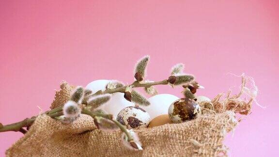 粉红色背景上的复活节彩蛋和一根柳枝