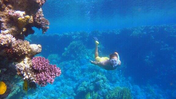 慢镜头:一个年轻人在度假时浮潜男性享受浮潜之旅潜水水下探索多彩的珊瑚礁