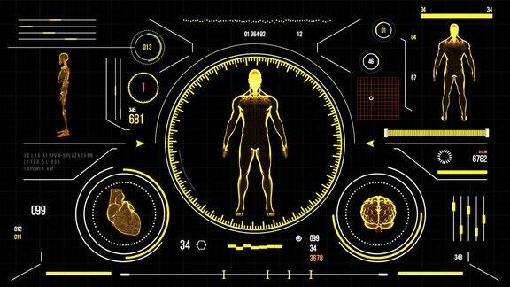 未来的医疗用户界面与HUD和信息图表元素虚拟技术背景平视显示模板的业务游戏运动设计web和应用程序人体解剖扫描