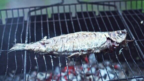 4k烧烤烹饪烧烤鱼在火上
