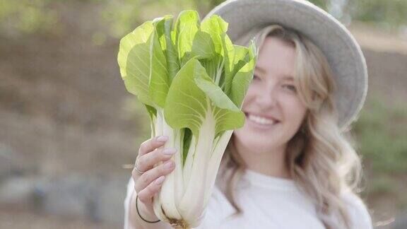 快乐年轻的白人妇女拿着美味健康有机白菜在一个当地的小企业农场到餐桌供应商在科罗拉多州