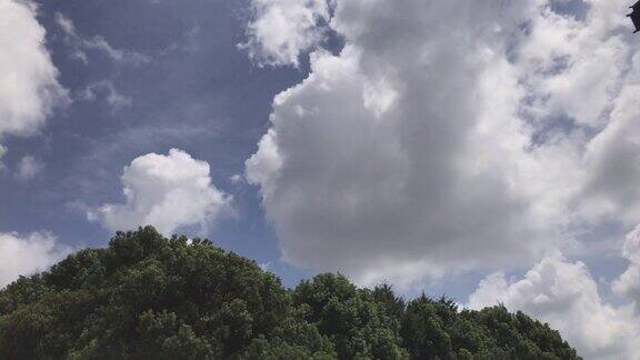 间隔拍摄自然风景森林绿色的田野蓝天白云