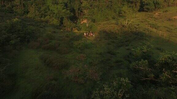 一架无人机拍摄的巴西农田里的一群农场志愿者