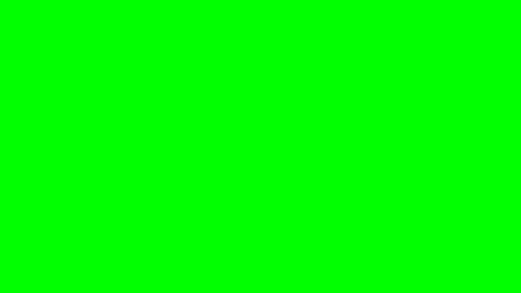 美丽的蓝色蝴蝶墨涅劳斯飞行和坐在白色和绿色背景的特写可循环的3d动画与绿色屏幕阿尔法通道