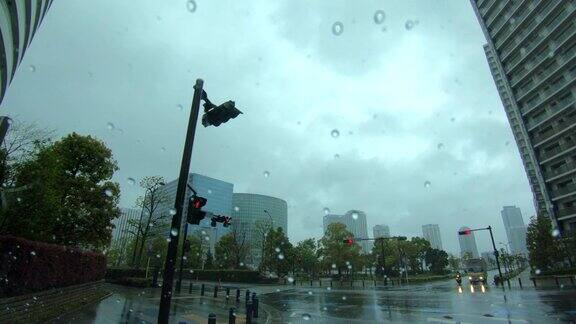 雨中的景色