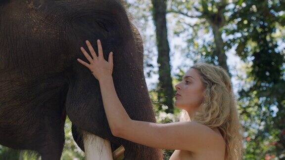 大自然的女人在丛林中抚摸大象在动物园保护区爱抚野生动物