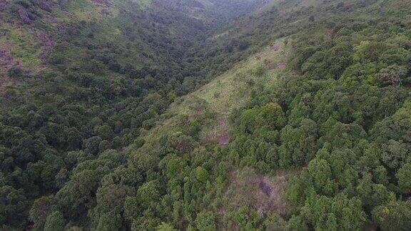 鸟瞰图飞过美丽的山峰和森林