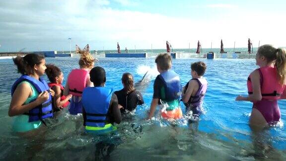 孩子和教练在水中与海豚互动