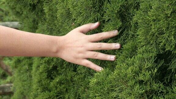 她的手指抚摸着一片新鲜的热带绿叶的特写平静冥想